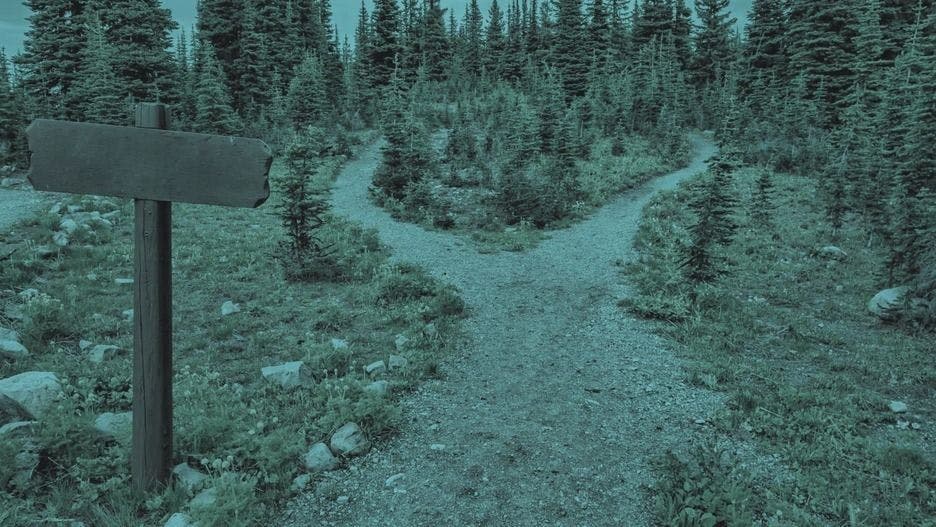 Criar um scraper da Web vs. Utilizar ferramentas de extração de dados